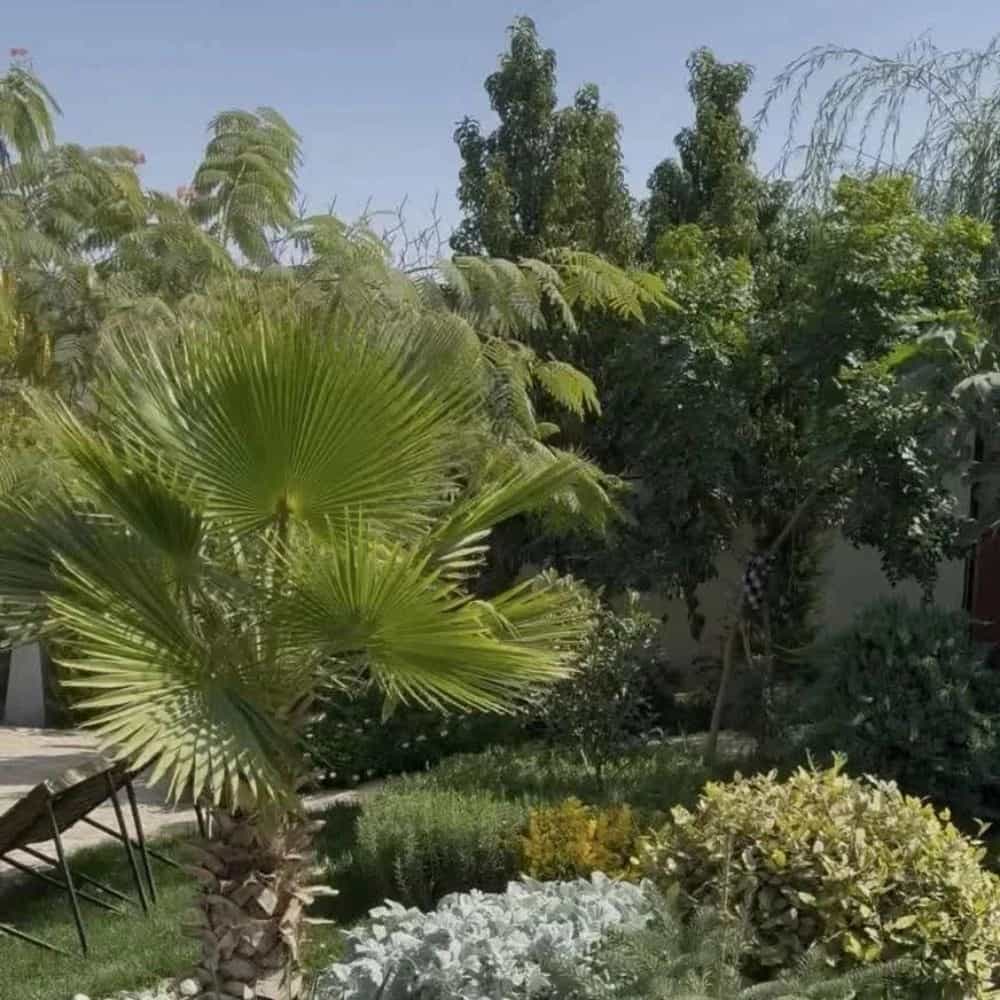 1778407156516.webp
