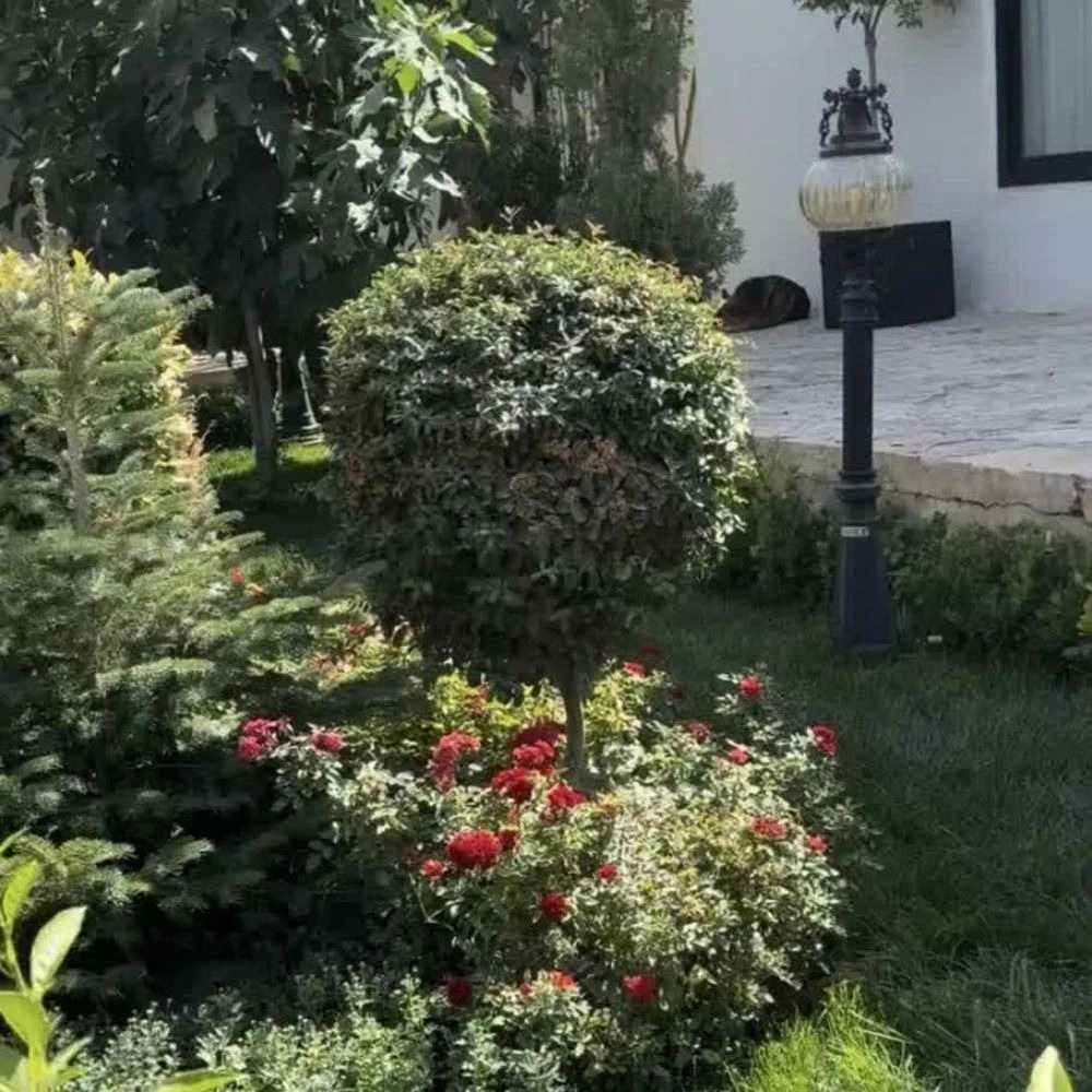 1778407165763.webp